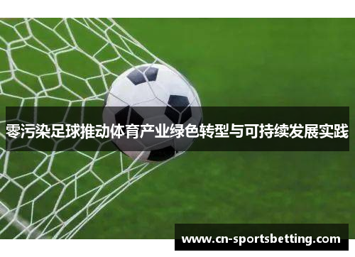 零污染足球推动体育产业绿色转型与可持续发展实践
